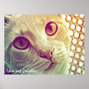 Liebe und Hingabe Poster