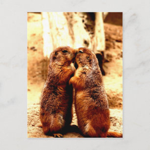 Liebe und Küssen des Grasland-Hundes Postkarte