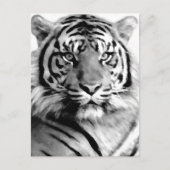 Liebe und Mut_ Postkarte (Vorderseite)