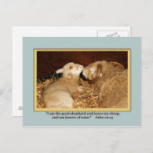 LIEBE und PEACE Postkarte (Vorne/Hinten)