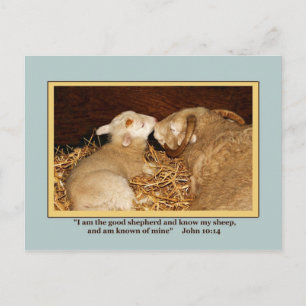 LIEBE und PEACE Postkarte