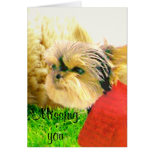 Liebe und Pflege, Hunde_ (Vorne)