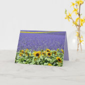 LIEBE UND PRAYER, LAVENDER FELD CHRISTLICHE KARTEN (Gelbe Blume)