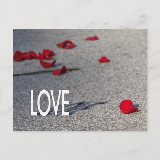 Liebe und Rose Postkarte (Vorderseite)