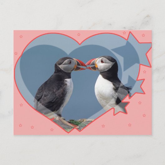 Liebe und Vögel Postkarte (Vorderseite)