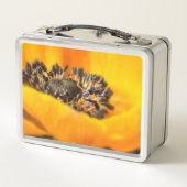 Liebe Valentinstag Hintergrund Rosa Rosa Metall Brotdose (Rückseite)