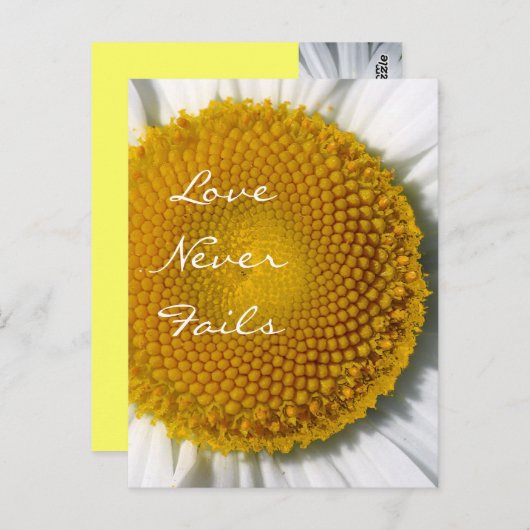 Liebe Versage nie Daisy 1 Korinther 13 Postkarte (Vorne/Hinten)