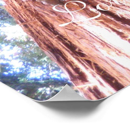 Liebe Versage nie Poster (Ecke)