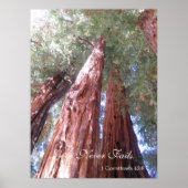 Liebe Versage nie Poster (Vorne)