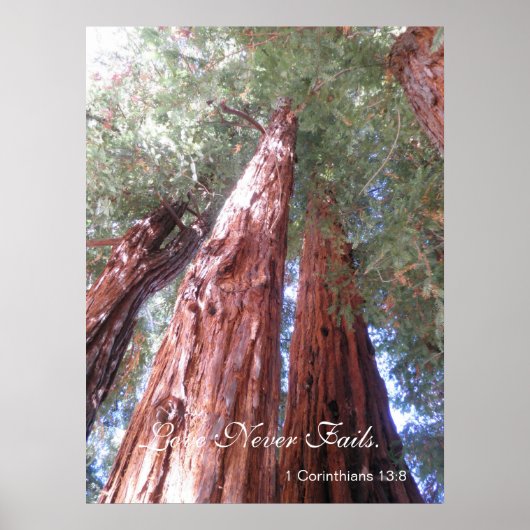 Liebe Versage nie Poster (Vorne)