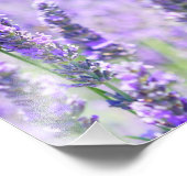 Liebe Versage niemals Bibelverse Zitat Lavendel Bl Fotodruck (Ecke)