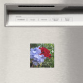 Liebe Versage niemals Blume Magnet (In Situ (Geschirrspüler))