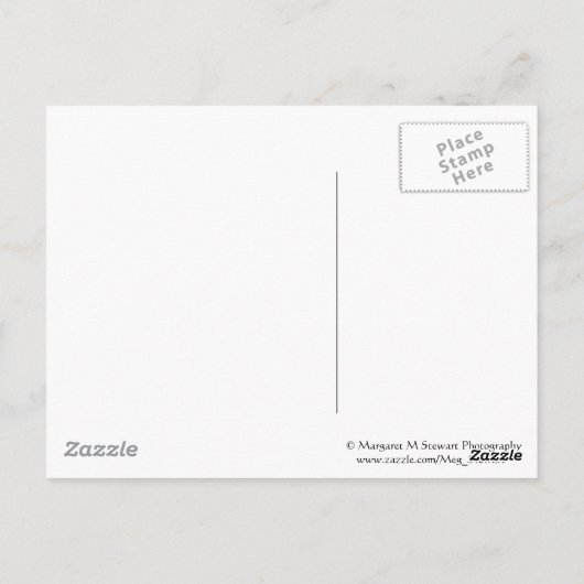 Liebe Versage niemals Postkarte (Rückseite)