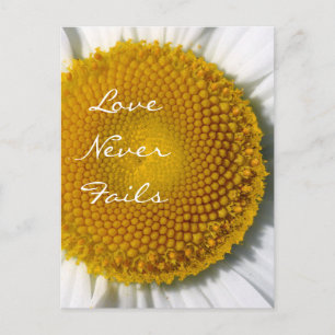 Liebe versagt nie Daisy 1 Korinther 13 Postkarte