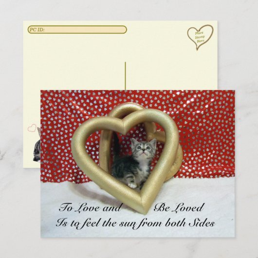 Liebe verschieben Anführungszeichen Lilo Katze Postkarte (Vorne/Hinten)