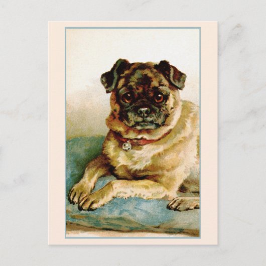 Liebe Vintager Mops Postkarte (Vorderseite)