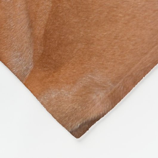 Liebe Vizsla! Fleecedecke (Ecke)