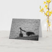 Liebe-Vögel B&W Karte (Gelbe Blume)