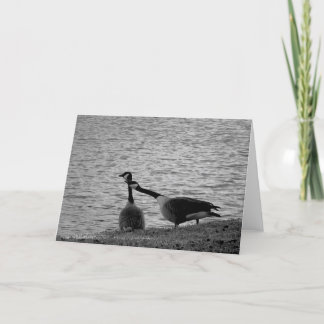 Liebe-Vögel B&W Karte