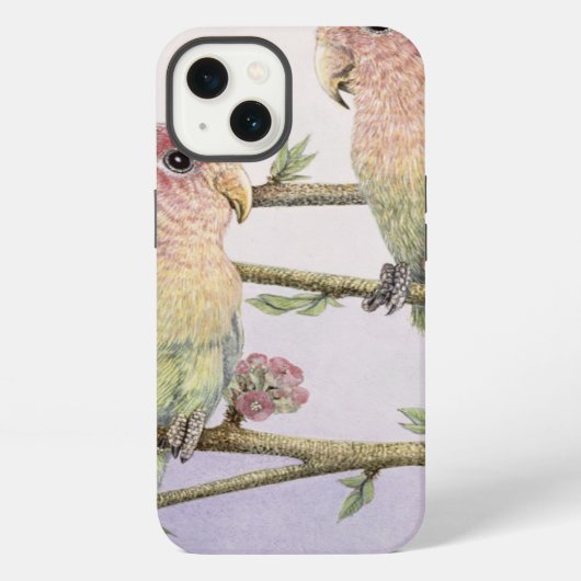 Liebe-Vögel iPhone Hülle (Rückseite)