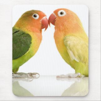 Liebe-Vogel-Mausunterlage Mousepad