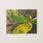 Liebe-Vögel Puzzle (Horizontal)