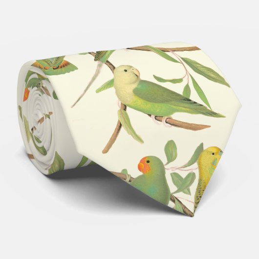 Liebe Vögel und Parakeets im Sahnehintergrund Krawatte (Gerollt)