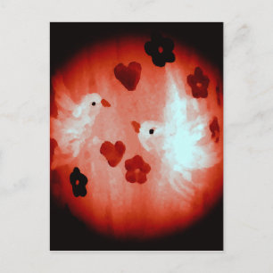Liebe Vögel Weiße Tauben Rotes Herz Postkarte