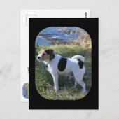 Liebe vom Hund von Janz Jack Russell Postkarte (Vorne/Hinten)