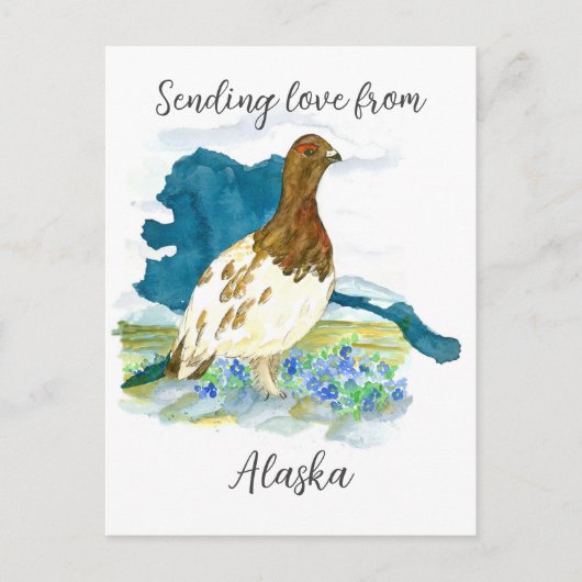 Liebe von Alaska Willow Ptarmigan Bird Postkarte (Vorderseite)