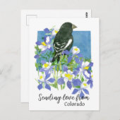 Liebe von Colorado Lark Bunting Columbines Postkarte (Vorne/Hinten)