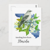 Liebe von Florida Mockingbird Orange senden Postkarte (Vorne/Hinten)