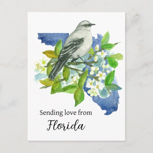 Liebe von Florida Mockingbird Orange senden Postkarte (Vorderseite)