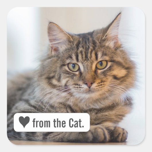 Liebe von Katze mit Heart Square Envelope Sticker (Vorderseite)