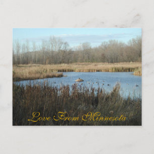 Liebe von Minnesota Postkarte von Janz
