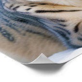 Liebe von Snow Leopard Tierart Zuneigung Poster (Ecke)