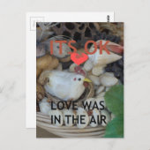 Liebe war in der Luft Postkarte (Vorne/Hinten)