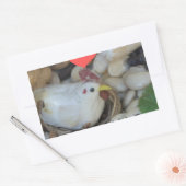 Liebe war in der Luft Rechteckiger Aufkleber (Umschlag)