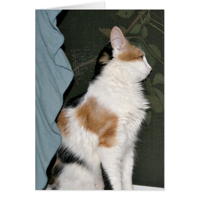 Liebe wartet (Vorne)