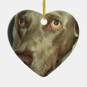 Liebe Weimaraner Verzierung Keramikornament