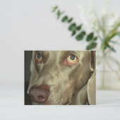 Liebe Weimeraner Postkarte (Stehend Vorderseite)