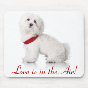 Liebe Weiße Bichon Frise Welpe Hund Mauspad