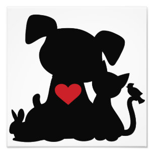Liebe Welpe und Kitten Silhouette Fotodruck