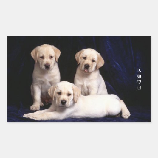 Liebe White Labrador Retriever Puppy Docking Stick Rechteckiger Aufkleber (Vorderseite)