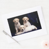 Liebe White Labrador Retriever Puppy Docking Stick Rechteckiger Aufkleber (Umschlag)