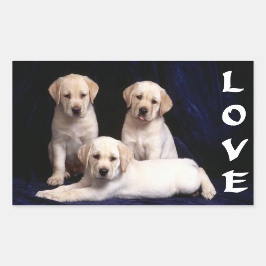 Liebe White Labrador Retriever Puppy Docking Stick Rechteckiger Aufkleber (Vorderseite)