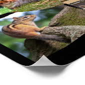 Liebe Wildlife Niedlicher Tiere Poster (Ecke)