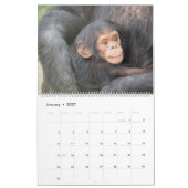 Liebe-Wildtierkalender einer Mutter Kalender (Jan 2027)