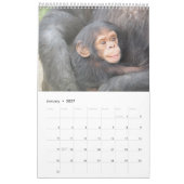 Liebe-Wildtierkalender einer Mutter Kalender (Jan 2027)
