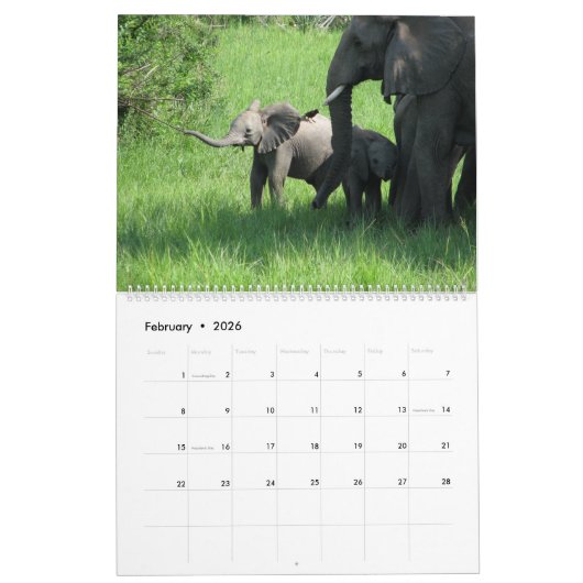 Liebe-Wildtierkalender einer Mutter Kalender (Feb 2026)